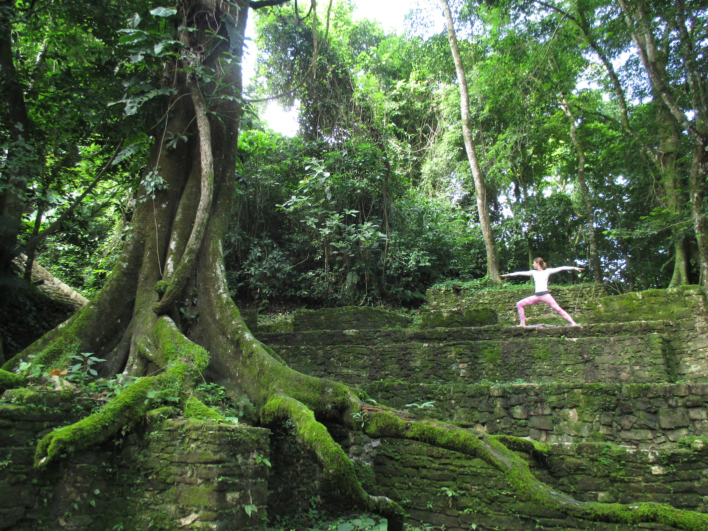 Yoga am Teich im Palmengarten in Leipzig